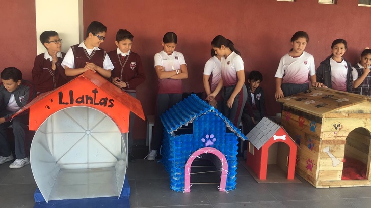 Úžasné mexické deti stavajú búdy pre túlavých psov z recyklovaných materiálov – ich iniciatíva oslovila množstvo ľudí