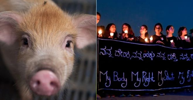 Aktuálne správy #54: Mohli by sme jesť plnohodnotné mäso bez zabíjania zvierat a ženu, ktorá išla  na súd kvôli znásilneniu, po ceste tam upálil muž, ktorý ju predtým znásilnil