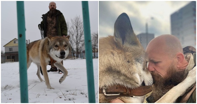 Muž zachránil vlčie mláďa a vychováva ho do dnešného dňa, iným však radí, aby to nerobili