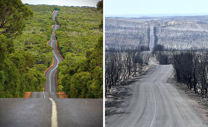 Niekoľko skľučujúcich fotografií, ktoré ukazujú ako vyzerala Austrálii pred a ako vyzerá po požiaroch