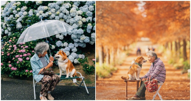 Vnuk staršej pani zachytáva takéto nádherné fotografie babičky spolu s jej krásnym psíkom