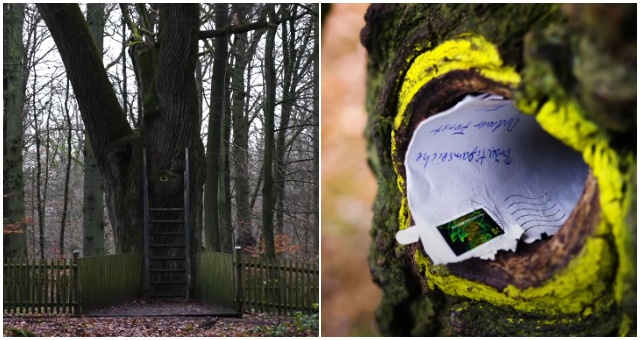 Predstavujeme vám strom lásky, vďaka ktorému si našiel svoju polovičku už nejeden človek