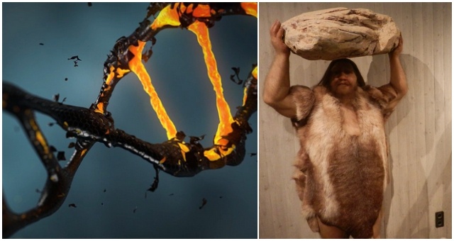 Najnovšia štúdia zistila, že každý človek (aj Afričania) má trochu z neandertálskej DNA