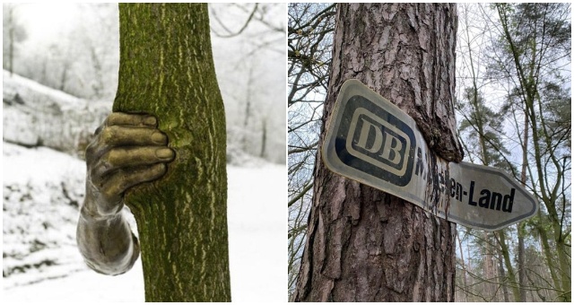 Na týchto fotografiách uvidíte, ako sa na objektoch dokáže podpísať zub času