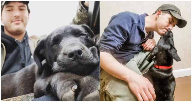 Nepočujúci chlapík si adoptoval psíka s rovnakým zdravotným hendikepom a ich vzťah je špeciálny od prvej sekundy
