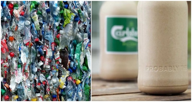 Holandská spoločnosť vyvinula rozložiteľný plast na rastlinnej báze, ktorý by mohol nahradiť škodlivé plasty