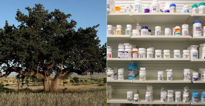 Aktuálne správy #133: Nová batéria pre elektrické autá môže vydržať 1,9 milióna kilometrov a štáty USA žalujú 26 farmaceutických podnikov za umelé zvyšovanie cien