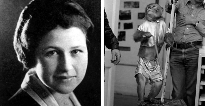 Zopár zaujímavosti ku káve, ktoré ti zaručene rozšíria obzory #750: ako dlho môže žiť človek bez jedla a bez vody a niečo o mravcoch