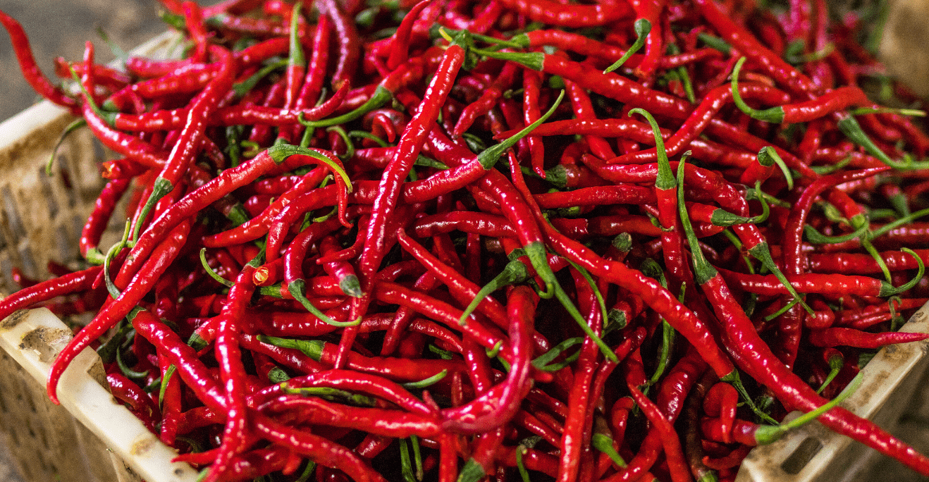 Chilli papričky