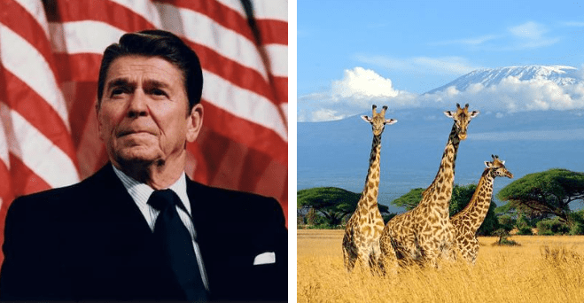 Zopár zaujímavosti ku káve, ktoré ti zaručene rozšíria obzory # 783: koľko kúskov pizze sa predá v Amerike za jednu sekundu a niečo o žirafách