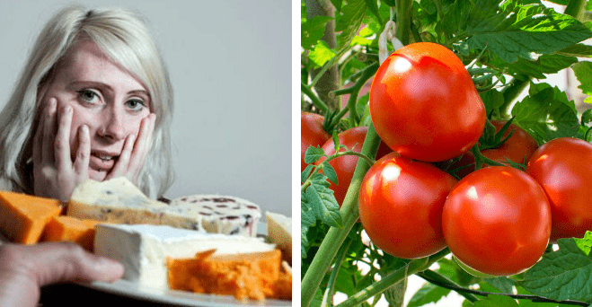 Zopár zaujímavosti ku káve, ktoré ti zaručene rozšíria obzory #765: ako sa nazýva strach zo syra a niečo o ľudskom mozgu