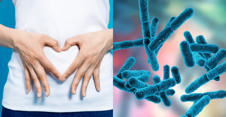Probiotiká –  Prečo sú pre nás dôležité a aké úlohy plnia v našom organizme?