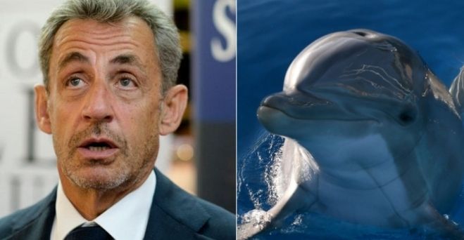 Aktuálne správy #166: Francúzsky exprezident Sarkozy je obvinený z trestného činu sprisahania a cena solárnej energie je momentálne na historickom minime.