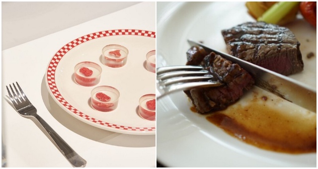 Vedci z USA vypestovali steak pomocou ľudských buniek a krvi
