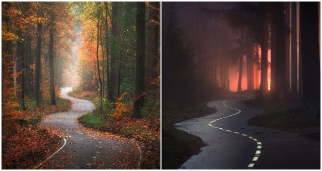 Počas každého ročného obdobia takto fotografuje hmlisté lesné cestičky a chodníky