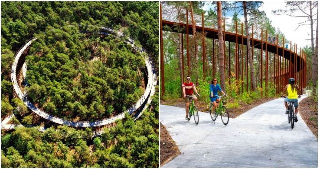 V Belgicku sa nachádza takýto 360-stupňový cyklistický chodník korunami stromov