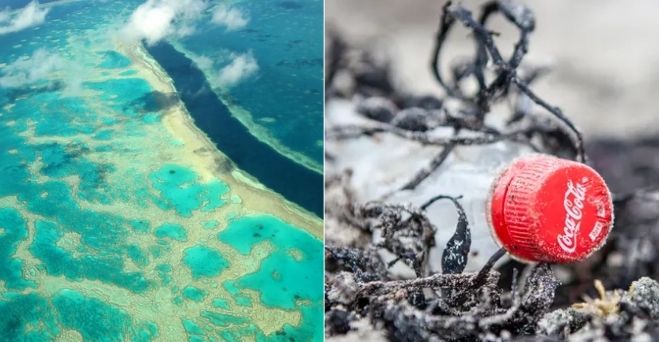 Aktuálne správy #177: Spoločnosti Coca-Cola, Pepsi a Nestlé boli tretí rok po sebe označené za najväčších plastových znečisťovateľov a Japonsko chce do roku 2035 zakázať predaj nových benzínových automobilov