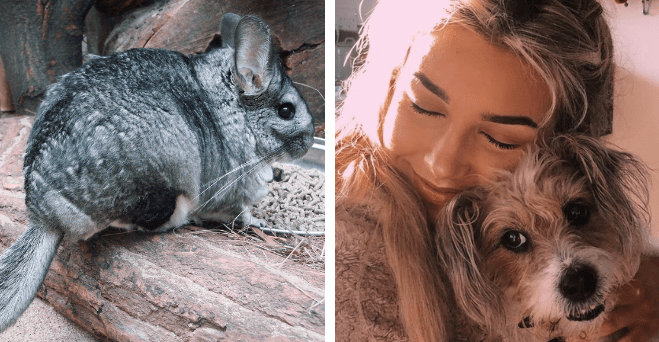 Zopár zaujímavosti ku káve, ktoré ti zaručene rozšíria obzory #932: kedy vyšiel prvý telefónny zoznam na svete a niečo o ľudskom žalúdku