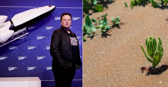 Aktuálne správy #184: Zem údajne ročne stratí zhruba 1% až 2% svojho hmyzu a Starlink, satelitná internetová služba Elona Muska, bola schválená vo Veľkej Británii