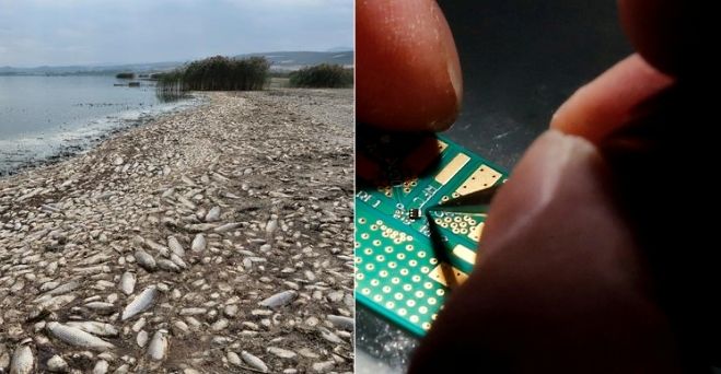 Aktuálne správy #191: USA a spojenci chcú vybudovať technologický dodávateľský reťazec „bez Číny“ a vedcom sa podarilo opraviť poranenú miechu pomocou vlastných kmeňových buniek pacientov