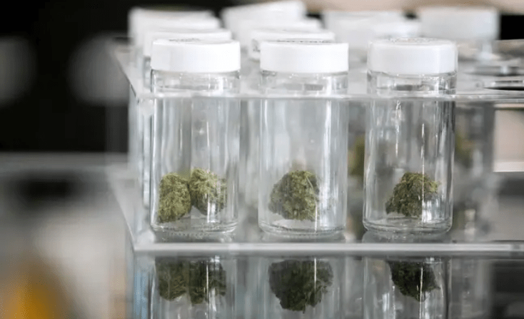 Marihuana údajne dokáže pomôcť vojenským veteránom s posttraumatickou stresovou poruchou