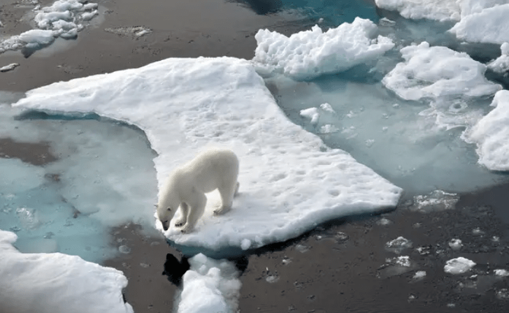 Klimatické zmeny sa stávajú hlavným dôvodom toho, prečo mladí ľudia nemajú vlastné deti