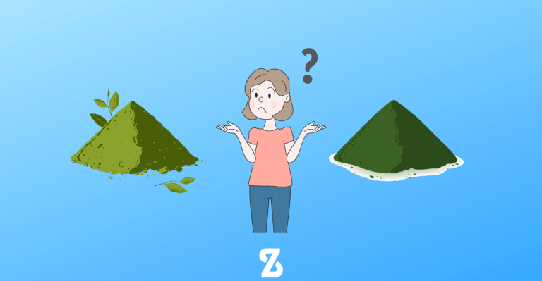 Spirulina vs. Chlorella – Aký je rozdiel medzi dvoma často užívanými riasami ?