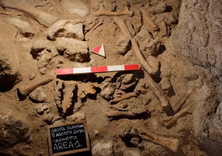 V talianskej jaskyni objavili takmer 100 000 rokov staré pozostatky tiel neandertálcov, ktorých zabili hyeny