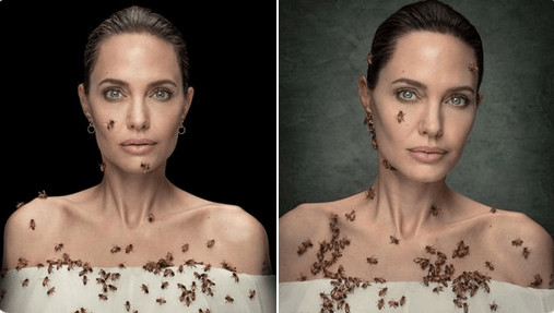 Angelina Jolie sa nesprchovala tri dni a nechala na seba posadať včely pre dobrú vec