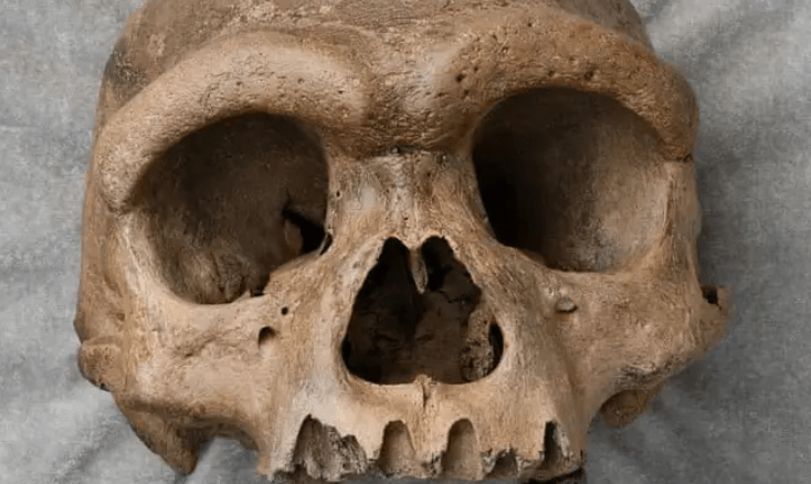 Novoobjavená lebka muža núti vedcov prehodnotiť to, čo doteraz vedeli o ľudskej evolúcii