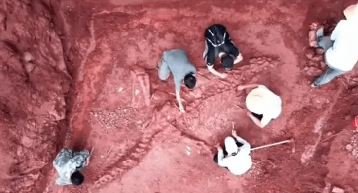 V Číne objavili pozostatky obrovského, takmer neporušeného dinosaura!