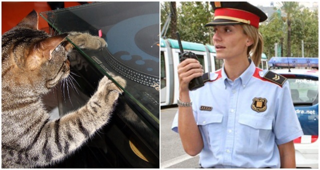 Sťažovali sa na hluk a keď to išla preveriť polícia, zostali v nemom úžase