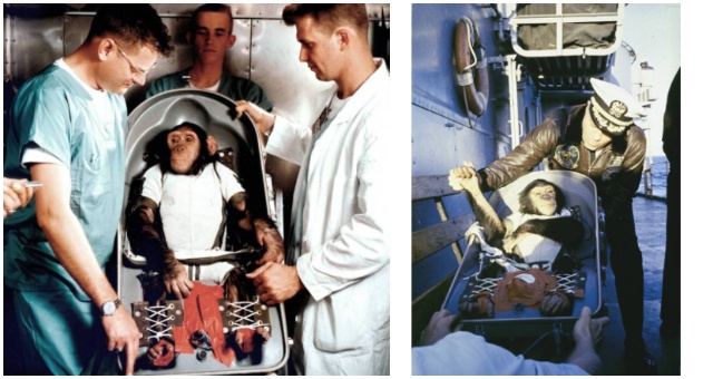Zoznámte sa so šimpanzom Hamom, astronautom NASA a prvým šimpanzom vo vesmíre