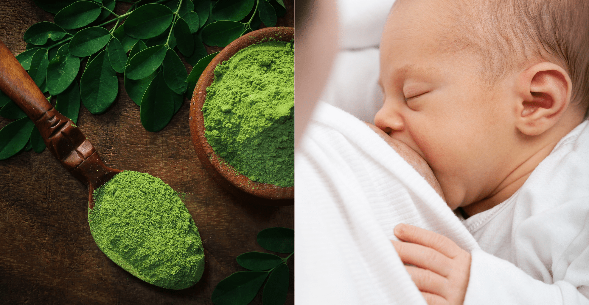 moringa na dojčenie