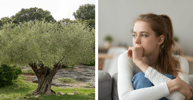 Ako sa nazýva priestor medzi obočím a koľko percent ľudí, ktorí sú odmietnutí v romantickom vzťahu, skĺzne do klinickej depresie #zaujimavosti