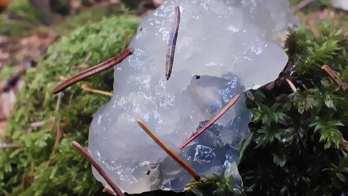 V Poľsku sa objavila záhadná látka. Dostala názov „želé z vesmíru“