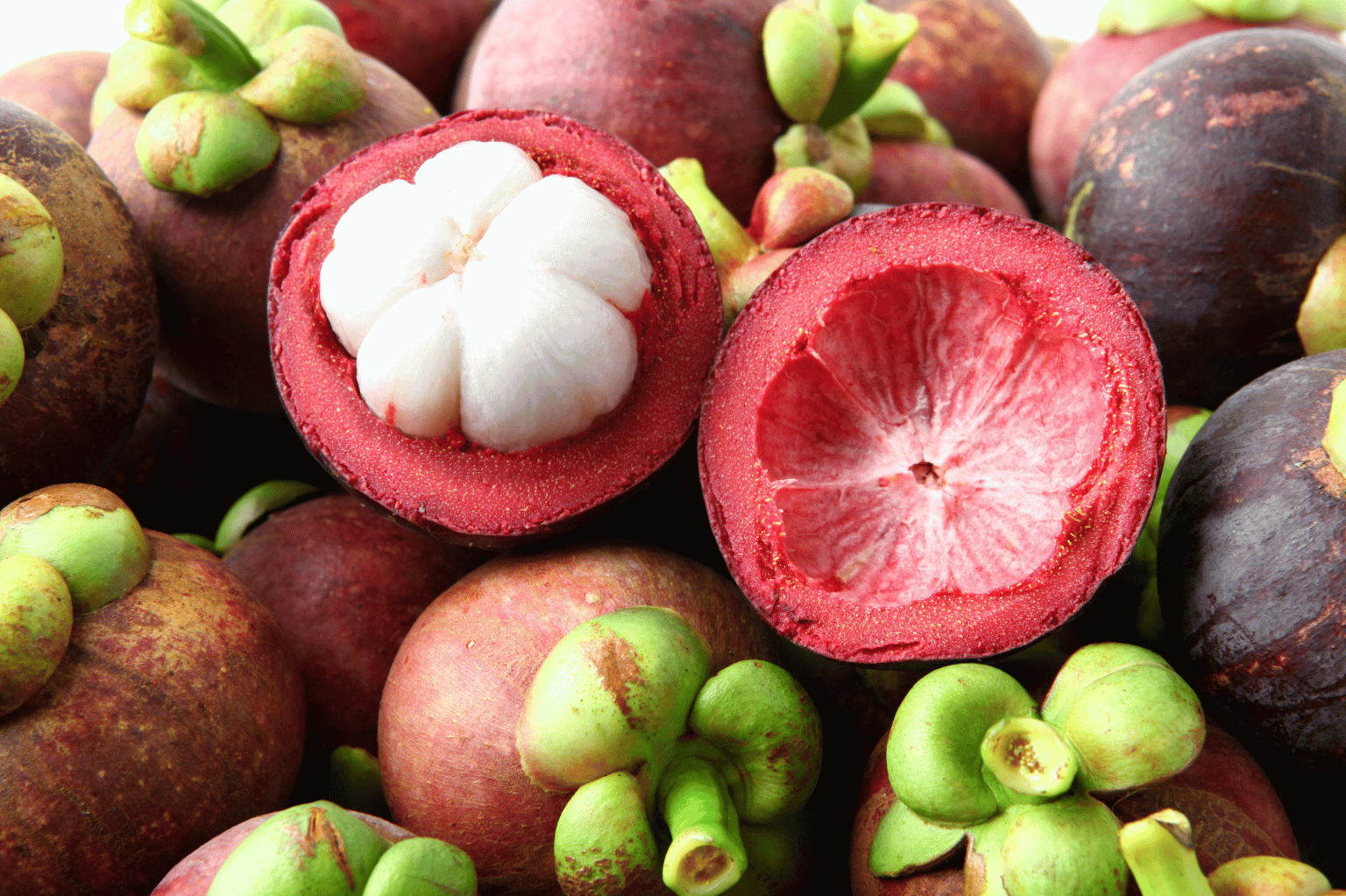 Mangostan