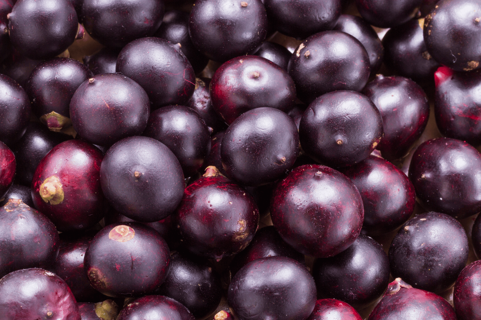 Acai