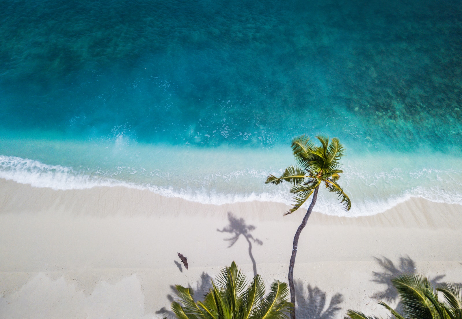Maldivy