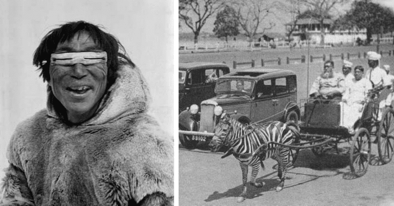 Historické fotografie, ktoré vás vrátia do minulosti #351 – Netradičné dopravné prostriedky a prvé slnečné okuliare