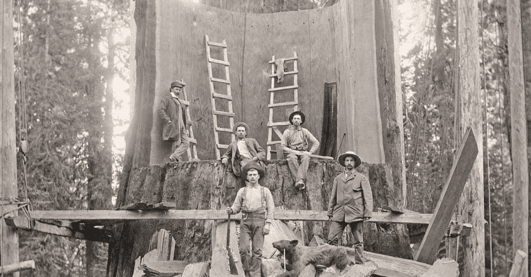 Historické fotografie, ktoré vás vrátia do minulosti #354 – Prvá transplantácia srdca a preplnená Queen Elizabeth na ceste za slobodou