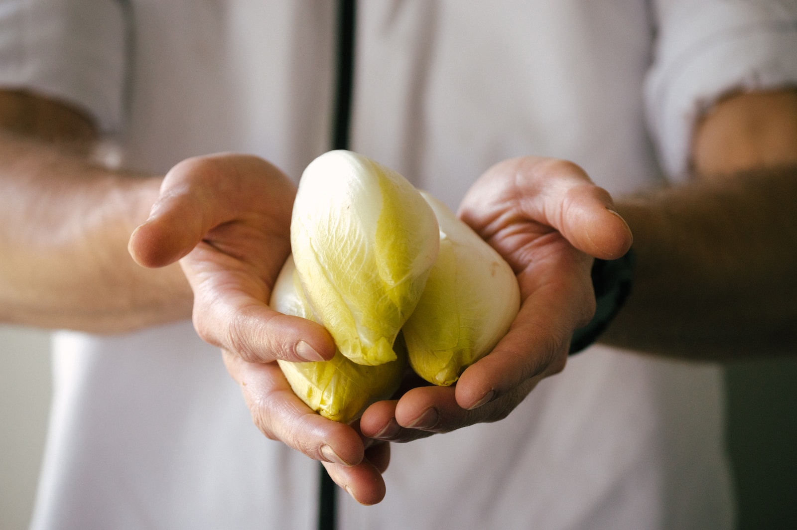 person holding white garlic bulb