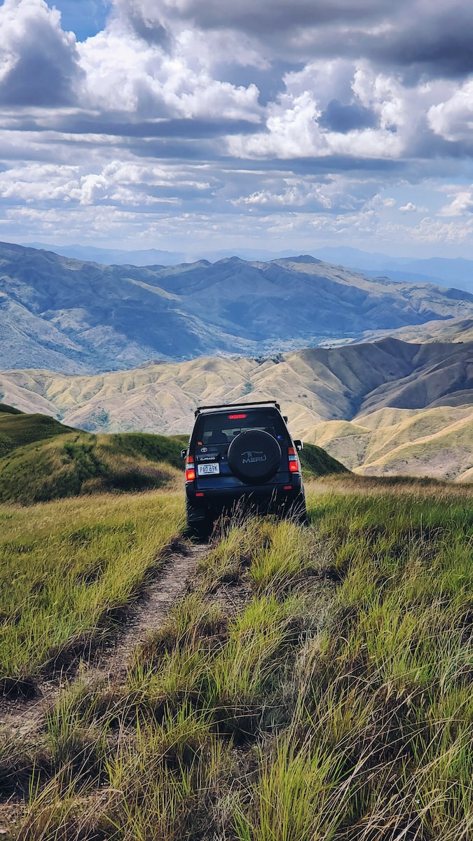 black SUV passing through grasses