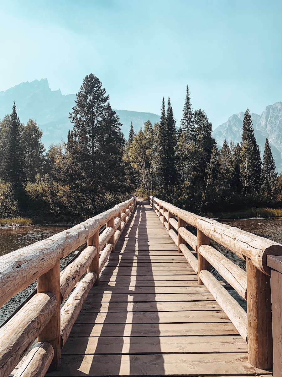 Wooden bridge over lake leading to green park with lush coniferous trees against cloudless blue sky in Yellowstone