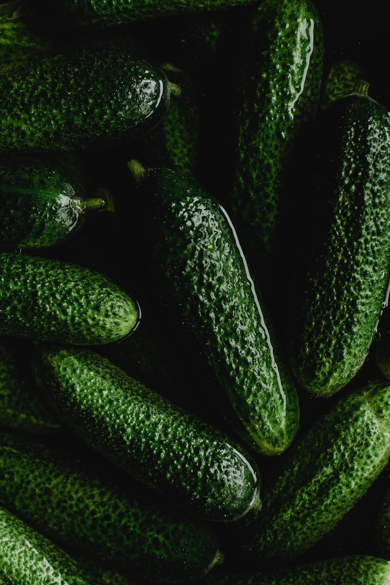 Close-Up Photo of Green Cucumbers