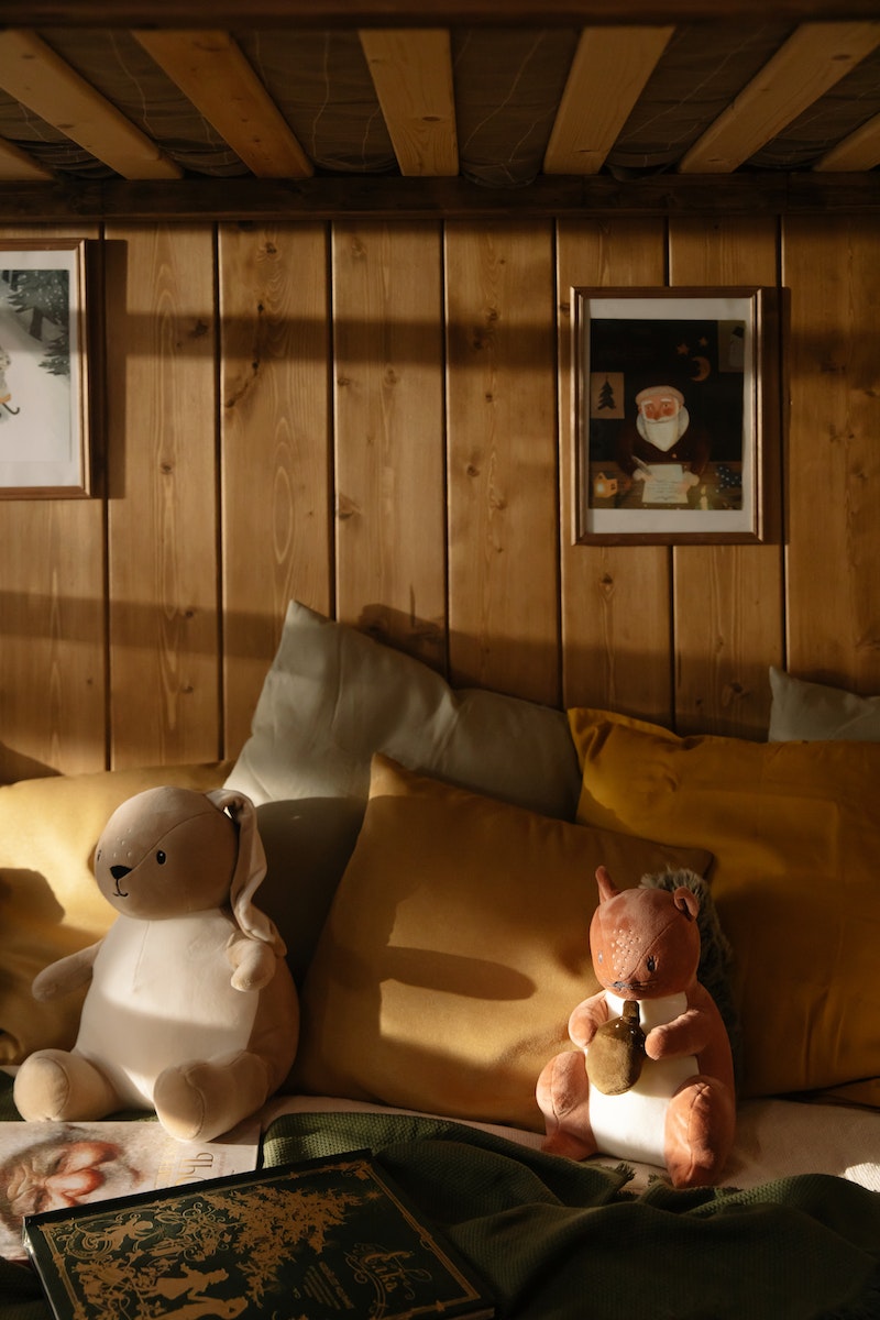 Two Plush Toys on Bed