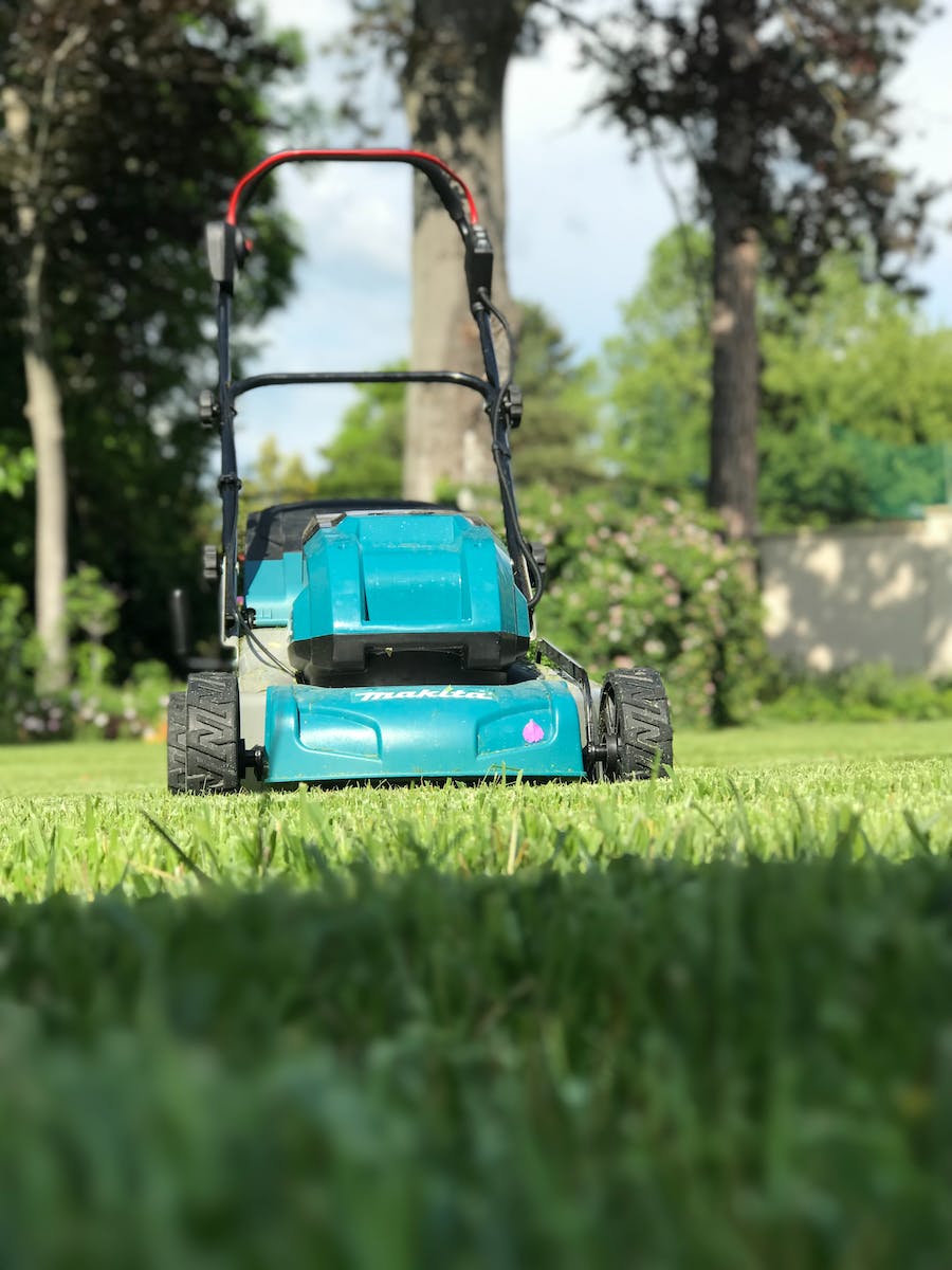 A Lawn Mower in the Garden