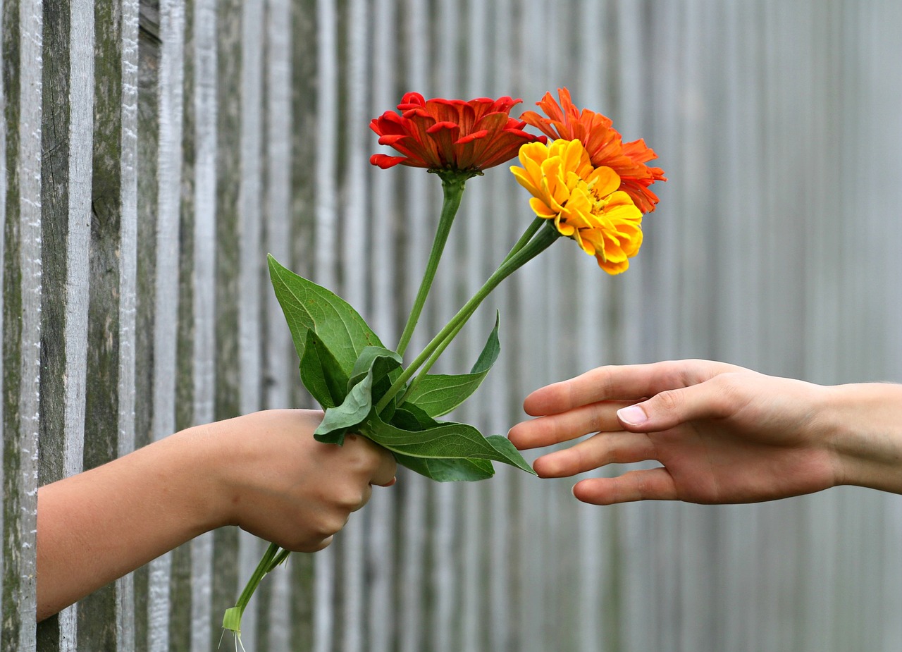 hand, bouquet, fence