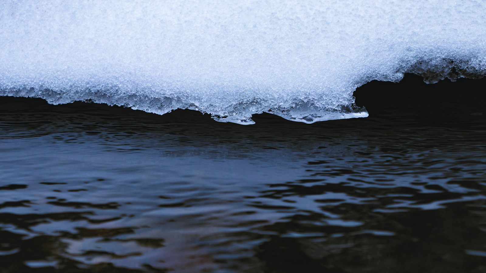 water waves on the shore