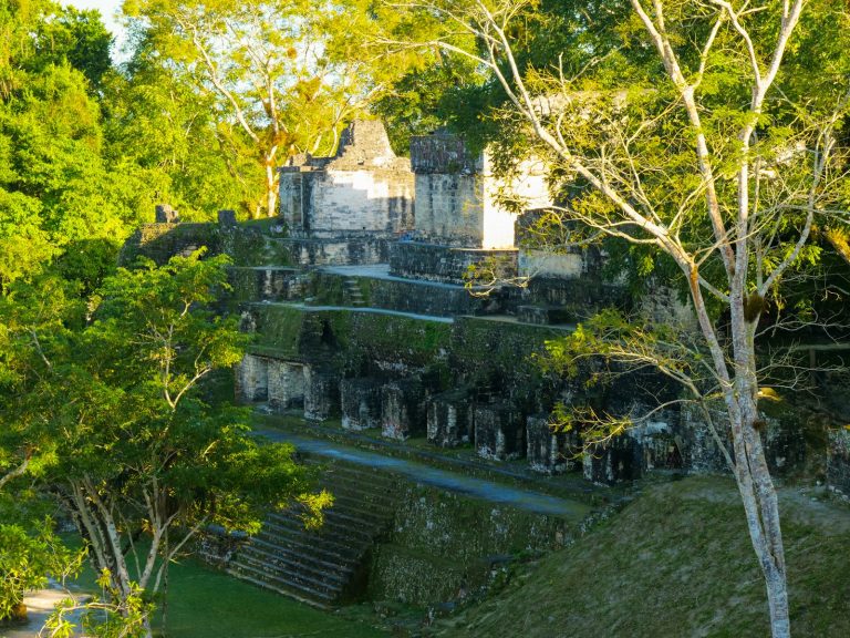 the ruins of a castle surrounded by trees